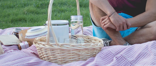 Family Picnic In The Park