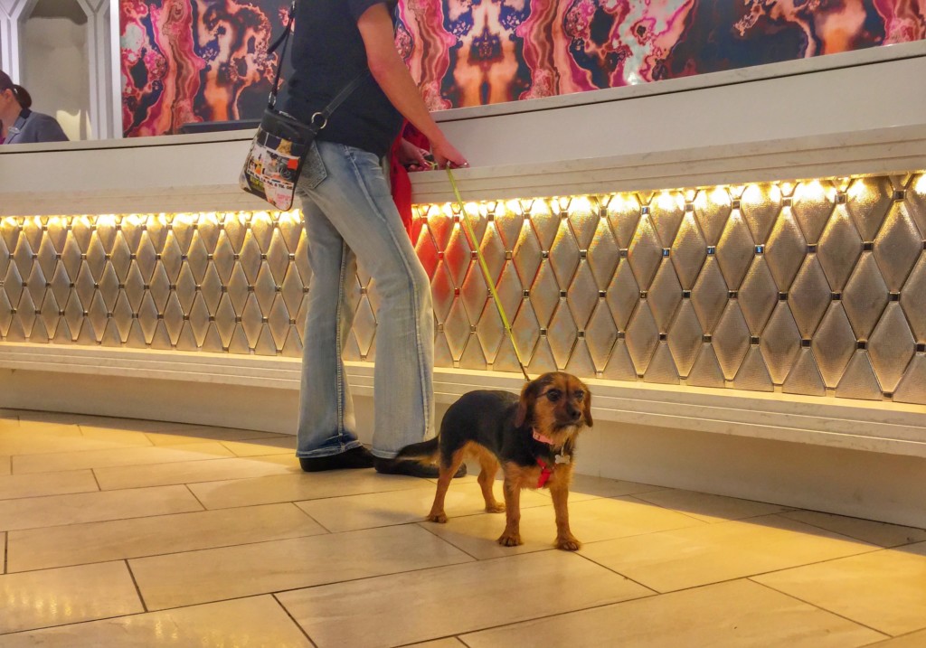 dog friendly Memphis hotel - The Guest House at Graceland