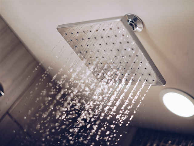 Guest-House-at-Graceland-Room-Bathroom-Shower-Head-thumbs