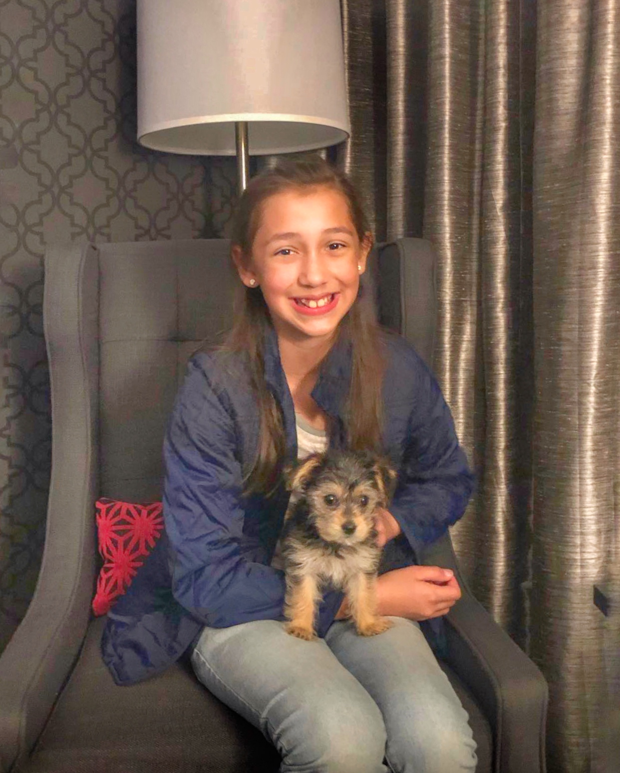 HOTEL CONTACT & LOCATION | The Guest House at Graceland | The Guest House at Graceland Lilo the Yorkipoo