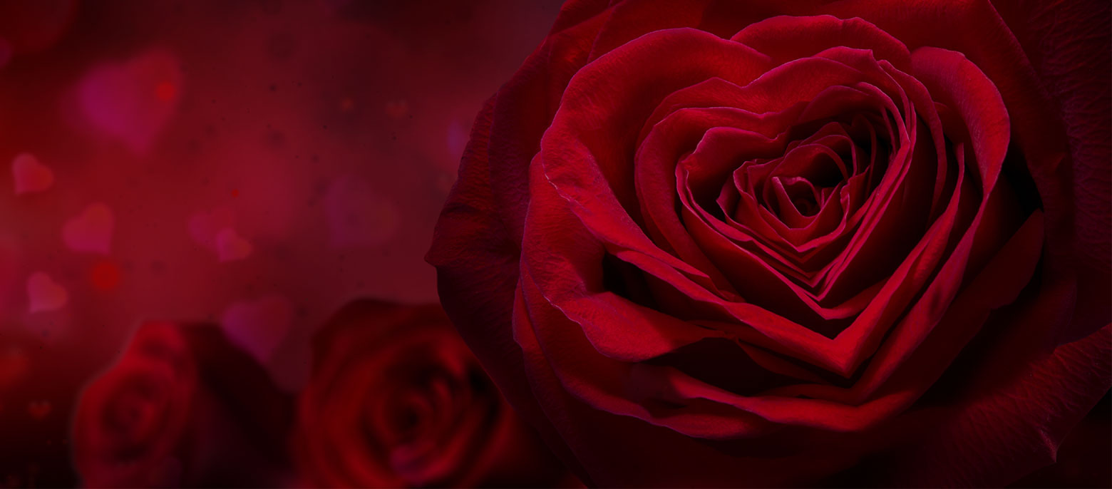 valentines-day-guest-house-graceland