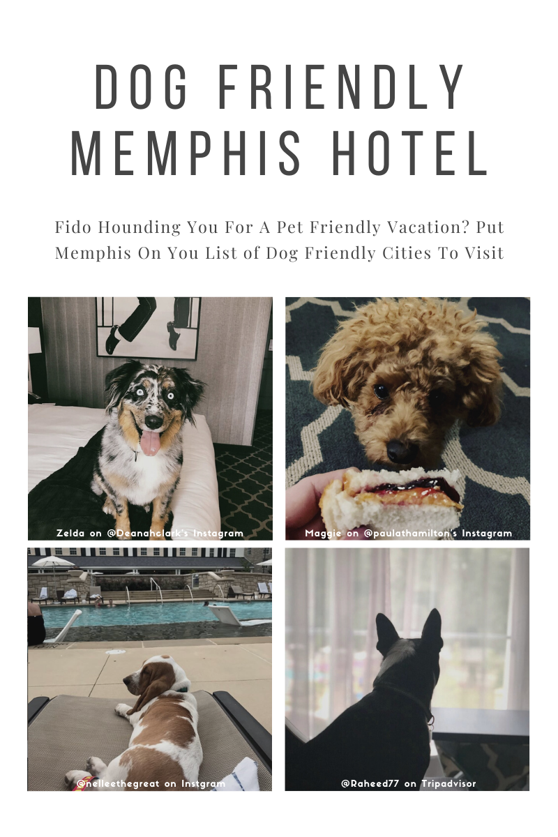 | The Guest House at Graceland | The Guest House at Graceland dog friendly Memphis hotel pin